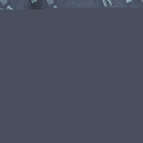 ţдỨ